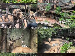 -长鹿旅游休博园