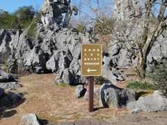 -千岛湖石林