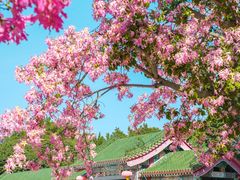 -广东圆玄道观