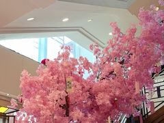 -天福苑(崇宁路店)