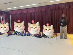-卓美LAMDA戏剧演讲与培训中心(亚运村店)