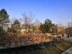 -西海子公园