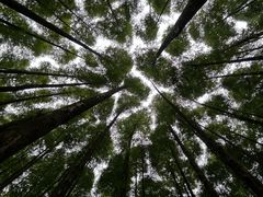-山王坪喀斯特国家生态公园