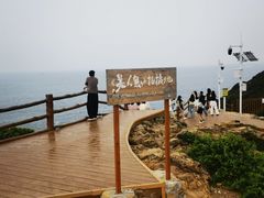 -杨梅坑