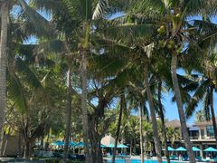 -海南清水湾莱佛士酒店