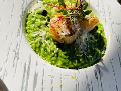 澳带芦笋烩饭-自如ZSPACE四合院艺术餐厅