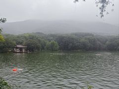 -紫霞湖公园