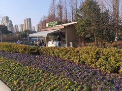 -青枫公园