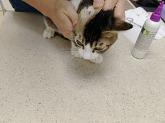 -芭比堂动物医院广州顽皮分院