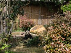 -常州淹城野生动物世界