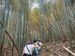 -会稽山峡洞漂流-上青古道