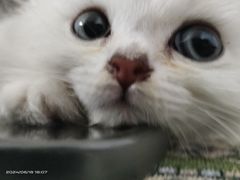 -联合动物医院(光谷诊疗中心)