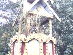 -瑞丽独树成林风景区