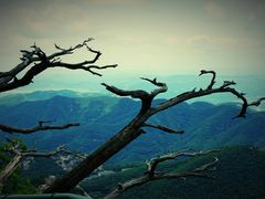 -丹东凤凰山景区