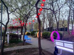 -枫花园汽车电影院(朝阳公园店)