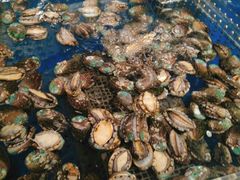 -盒马鲜生(莱蒙都会店)