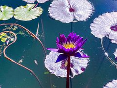 -国家植物园南园