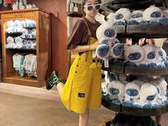 -奥兰多迪士尼动物王国乐园