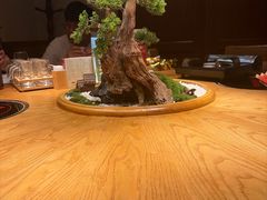 -老阿爸鲜鱼土菜(独墅湖店)