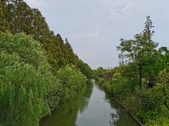 -上海长兴岛郊野公园