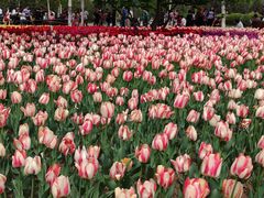 -长春公园(普阳街道)