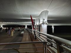 -演武大桥观景平台