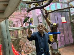 -正佳雨林生态植物园