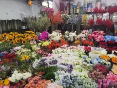 -双季花艺园艺市场(浦东店)