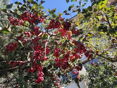 -春晖园度假酒店温泉