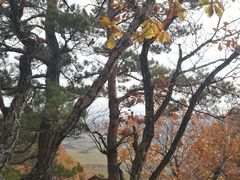 -吉林拉法山