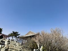 -香山公园