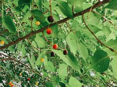 -南大和园蔬菜店(仙林大道店)