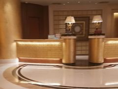 -电谷雅阁国际大酒店