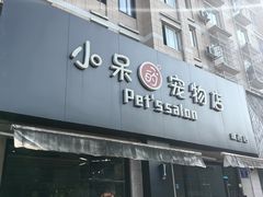 -小呆的宠物店·宠物售卖·宠物寄养(城西店)