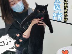-萌兽医馆·绝育·24小时内科·宠物医院(德胜店)
