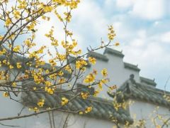 -终南山国家森林公园