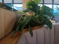 -马家斑.鲜鱼火锅(松湖万科店)