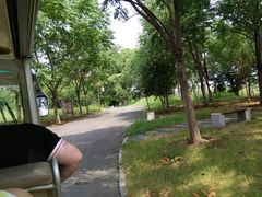 -梁鸿国家湿地公园