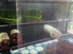 -华中科技大学东三学生食堂