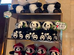 -成都保利公园皇冠假日酒店(熊猫基地店)