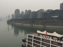 -重庆市奥林匹克体育中心-游泳跳水馆
