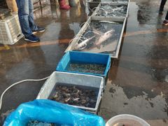 -团泊镇示范集贸市场