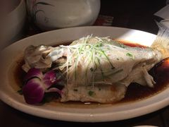 -刘胖子家常菜·蹄花焖藕(兴业店)