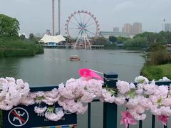 -成都欢乐谷