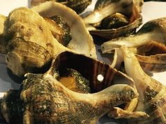 -顺德了能馆(虎门店)