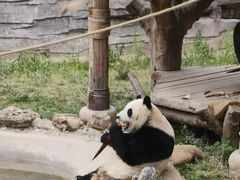 -石家庄市动物园