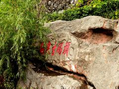 -后柳水乡