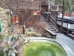 android_upload_pic-天明山温泉大酒店
