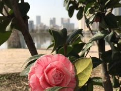 -西北湖绿化广场