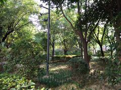 -唐城墙遗址公园